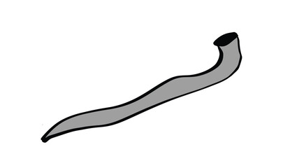 Shofar yom kippur israel jewish religion celebration hashanah torah hebrew Shofar yom kippur israel jewish religion celebration hashanah torah hebrew faith prayer Shofar yom kippur israel event prayer