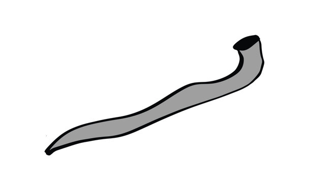 Shofar yom kippur israel jewish religion celebration hashanah torah hebrew Shofar yom kippur israel jewish religion celebration hashanah torah hebrew faith prayer Shofar yom kippur israel event prayer