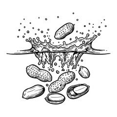 Peanuts Falling into Water with a Big Splash Black and White Outline Line Art Drawing Food