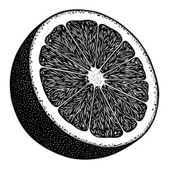 Vibrant Fresh Half Orange Cross Section Black and White Outline Line Art Drawing Engraved Vintage Style