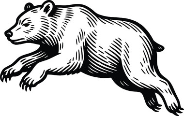 Obraz premium bear vector hand drawn illustration line art