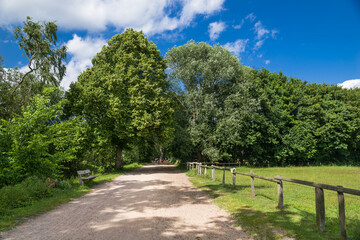 Kollau Wanderweg Hamburg Niendorf Sommer