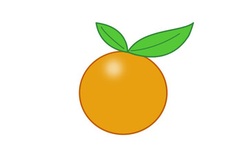 vector illustration of an orange