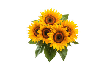 Bright Sunflower Flower Bouquet Isolated on Transparent Background