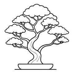 Bonsai on White Background