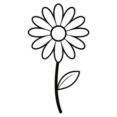  Black and white daisy flower