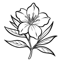Obraz premium black and white oleander flower