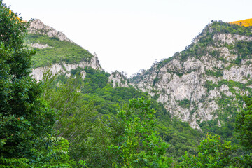 Summer landscape on Cerna Valley in Mehedinti Mountains, Romania, Europe	