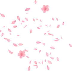 Sakura petal spring blossom on white banner Sakura wallpaper or web banner design template. Vector illustration of realistic  for Valentine's Day, Mother's Day, March 8. Love.