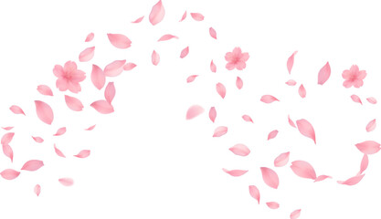 Sakura petal spring blossom on white banner Sakura wallpaper or web banner design template. Vector illustration of realistic  for Valentine's Day, Mother's Day, March 8. Love.