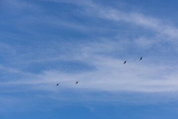 Jets in Formation Wideview