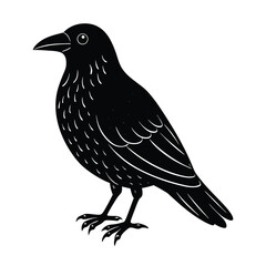 vector illustration of a bird