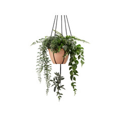 Hanging Planter with Assorted Green Plants and Peach Pot