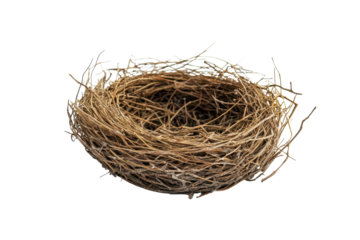 Empty bird nest crafted from twigs and branches isolated on a clean white background with no visible debris or feathers