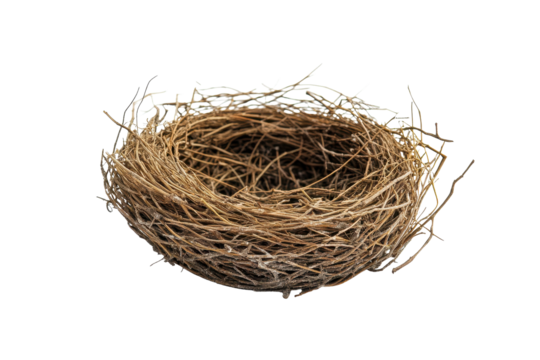 Empty bird nest crafted from twigs and branches isolated on a clean white background with no visible debris or feathers