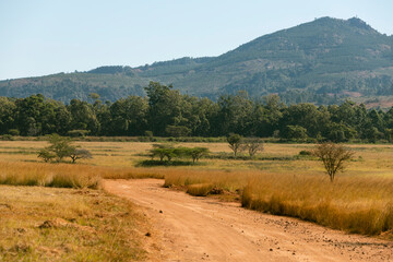 Mlilwane National Park, Eswatini