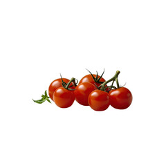 Fresh Red Cherry Tomatoes on the Vine