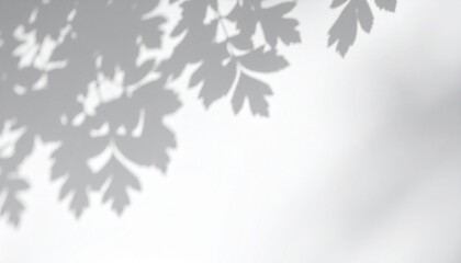 autumn leaves on black background