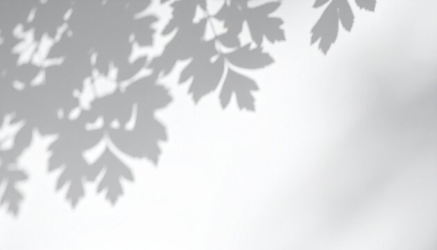 autumn leaves on black background