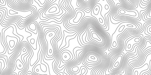 Abstract Modern design with White background with topographic wavy pattern design. Geographic abstract grid. Geographic curved, vector illustration.	
