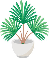 Fan Palm Leaf in Ceramic Pot - Tropical Plant Icon