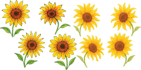 Hand-Drawn Watercolor Sunflower Illustration Set Colorful Single Bloom Floral Elements with Petals and Leaves, Isolated Transparent Background for Botanical Art, Packaging, and Decor | Generative AI