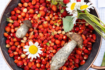 a bowl filled with fresh red wild strawberries, wild mushrooms and chamomile.