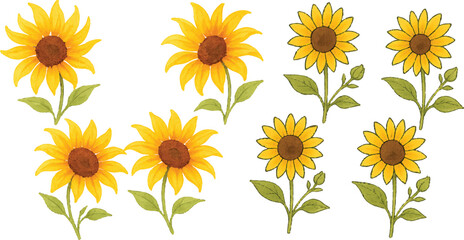 Hand-Drawn Watercolor Sunflower Illustration Set Colorful Single Bloom Floral Elements with Petals and Leaves, Isolated Transparent Background for Botanical Art, Packaging, and Decor | Generative AI