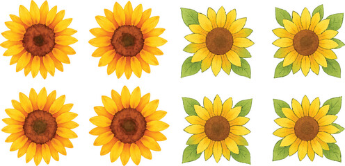 Hand-Drawn Watercolor Sunflower Illustration Set Colorful Single Bloom Floral Elements with Petals and Leaves, Isolated Transparent Background for Botanical Art, Packaging, and Decor | Generative AI