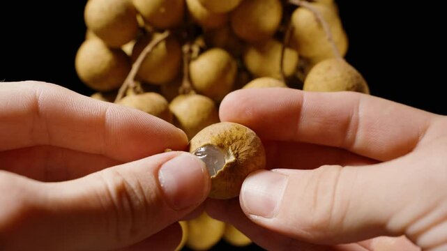 Fingers Peeling Juicy Longan Fruit Revealing Translucent Flesh in a Macro Close-Up Against a Fresh Cluster