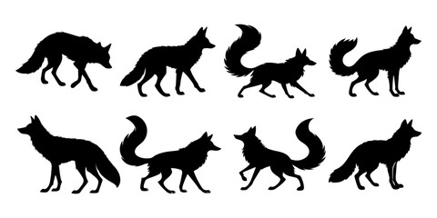 Fototapeta premium Silhouetted foxes in various positions