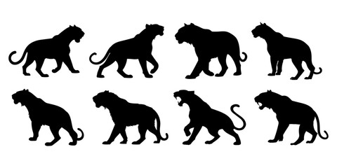 Silhouettes of big cats in various poses