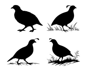 Four quail silhouettes in black and white