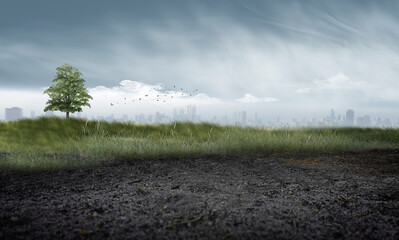misty morning in the field/A lone tree stands in a grassy meadow, surrounded by natural landscape...