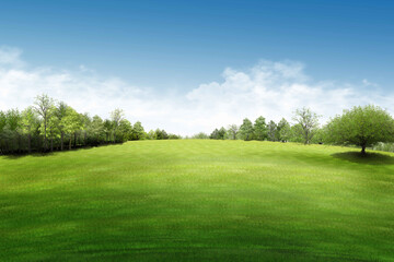 green grass and blue sky/Scenic green field with meadow and grassland in a natural outdoor setting.