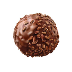 Delicious Chocolate Truffle with Chocolate Shavings - Gourmet Dessert