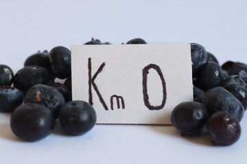  Cartel “Km 0” rodeado de arándanos