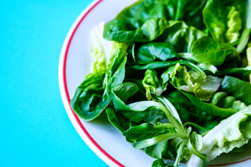 Plate Of Healthy Vegetarian Rosa Verde Salad Leaves