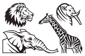 lion vector illustration