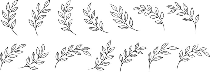 Set of hand-drawn botanical branches with leaves in curved, elegant shapes. Minimalist black outline perfect for floral design, wedding decor, and nature-inspired graphics