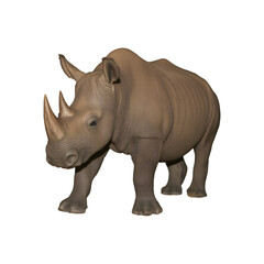 rhinoceros isolated on white background. 3d illustration.