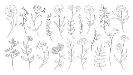 Hand drawn botanical flower illustrations in black and white featuring wildflowers leaves and floral elements perfect for tattoo design logo invitations wall art wedding decor and nature-themed