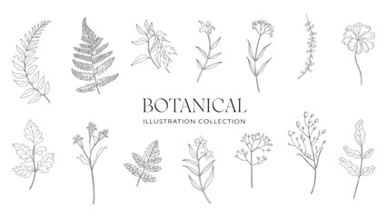 Hand drawn botanical illustration collection of flowers leaves and herbs in elegant black and white line art style perfect for nature designs wedding invitations prints logos and minimalist decor