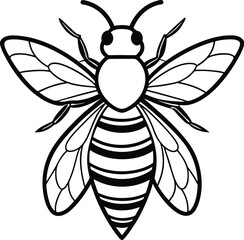 Detailed illustration of a bee in flight isolated on white background