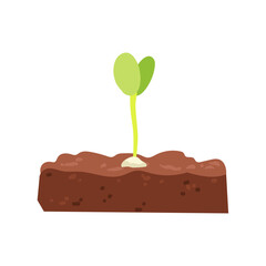 Vector Hand drawn illustration of Growing sprout in soil, green silhouette of little plant leaf, concept of plant growth, healthy food, eco earth care, biology educational purposes, spring gardening