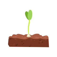 Vector Hand drawn illustration of Growing sprout in soil, green silhouette of little plant leaf, concept of plant growth, healthy food, eco nature care, biology educational purposes, spring gardening