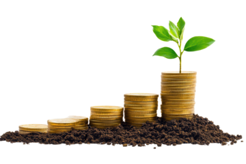 Stack of gold coins with a growing plant signifying prosperity and investment in sustainable growth nurturing the future