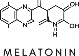 Fototapeta premium Online Meeting Seamless Collaboration and Remote Teamwork