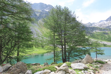 L'incantevole lago di Arpy in Valle d'Aosta, circondato dal verde e dalle montagne.