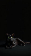 Black Cat with Green Eyes in Darkness